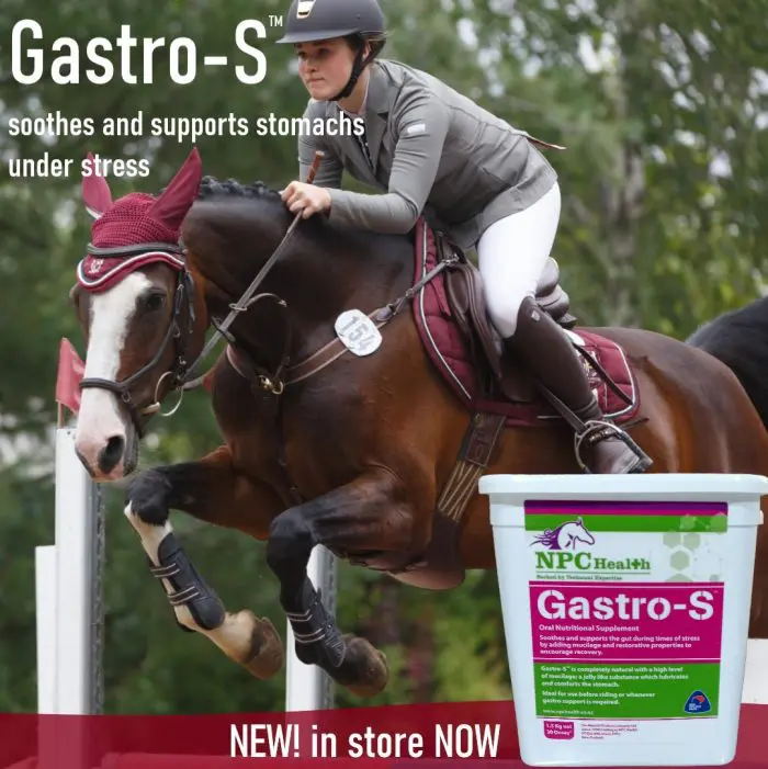 Natural Ulcer supplement for horses