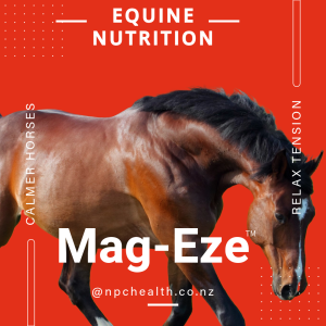 Magnesium for calming horses and benefits horses that are deficient.