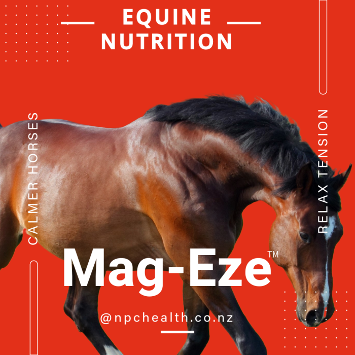 Mag-eze | Ultimate magnesium for horses | Grass affected support