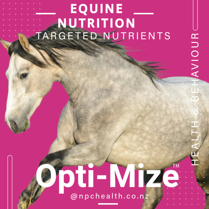 Opti-Mize | Grass affected Horses NZ | Horse Supplement