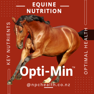 Premium minerals for horses with quality vitamins, essential amino acids, a gut prebiotic and salt for optimal health.