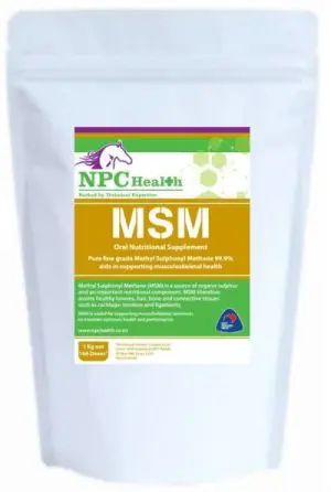 MSM for horses and dogs to support joint health.