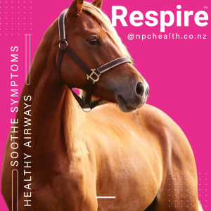 Respiratory support for horses and ponies.