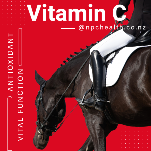 Vitamin C powder for horses and other animals for optimal health.