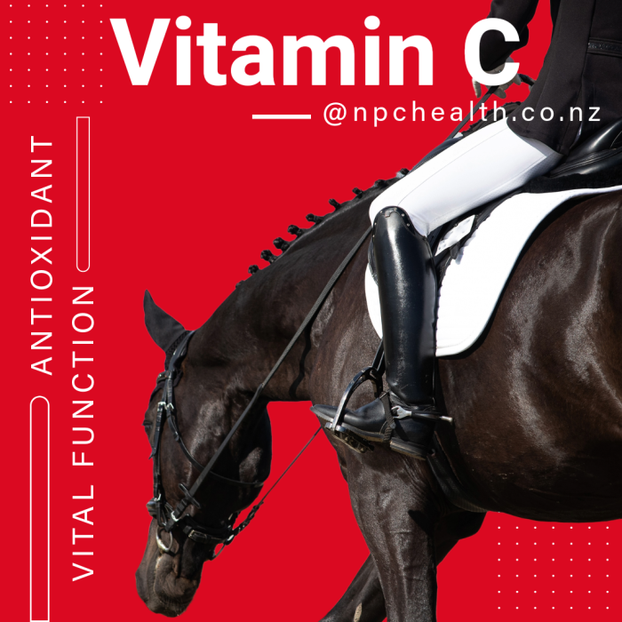 Vitamin C powder for horses | best quality and value