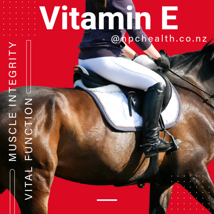 Vitamin E for horses | natural bioavailable supplement