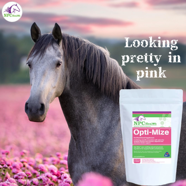 Calming And Behaviour Supplement For Horses