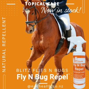 Effective, Natural Fly Repellent For Horses