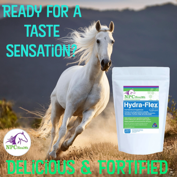 Highly palatable joint supplement for horses made in New Zealand.