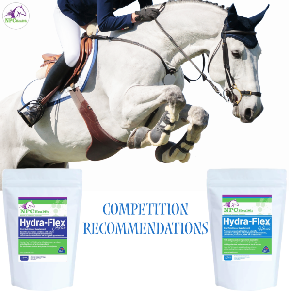 Joint Supplements For Horses