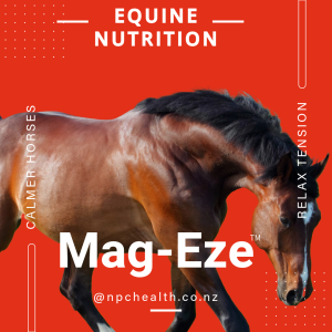 Mag Eze is a supplement for calming horses and ponies.