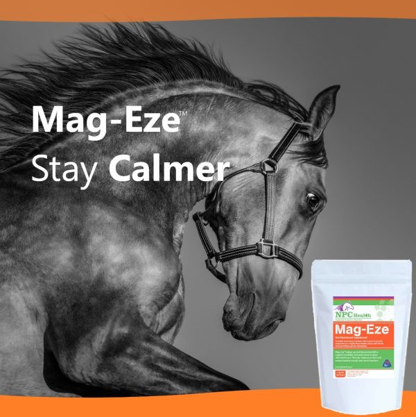 Calming supplement for horses to settle muscles and nerves