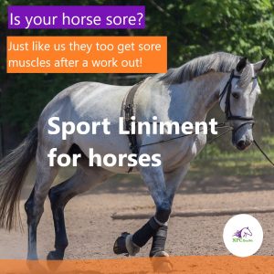 Sport liniment for horses.