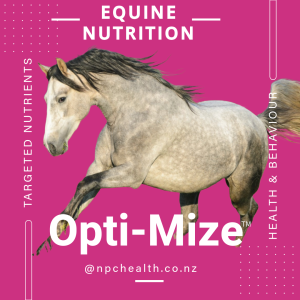 Targeted supplementary care for horse health and behaviour.