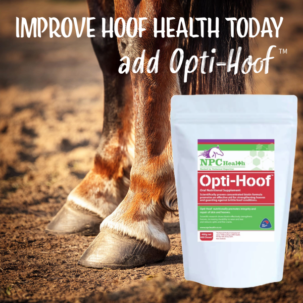 Biotin for horse hooves.