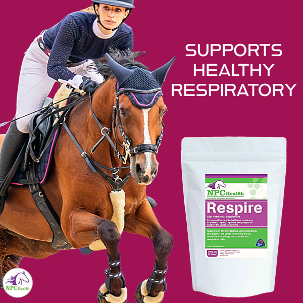 Respire For Respiratory support in Horses