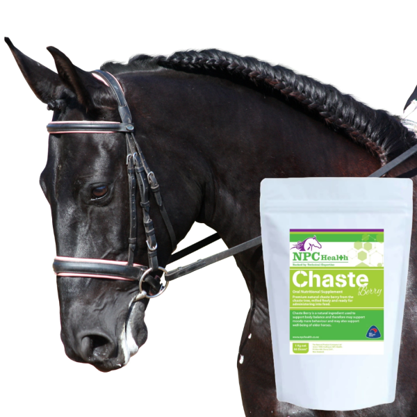 Chaste berry for horses available instore or online with New Zealand wide delivery.