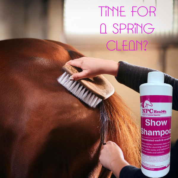 Natural Horse Shampoo For Shiny Soft Coats