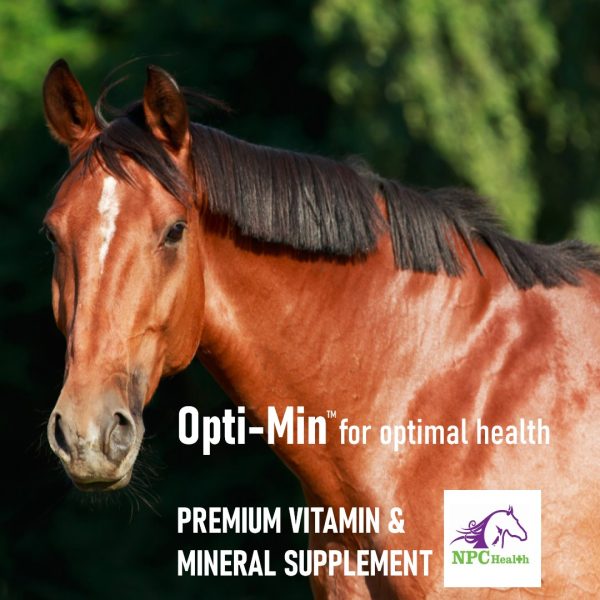 Quality multivitamins and minerals for horses.