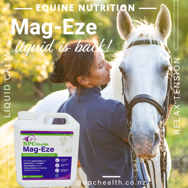 Mag Eze magnesium for calming horses